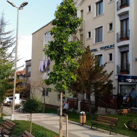 酒店 伊斯坦布尔老城托伦酒店