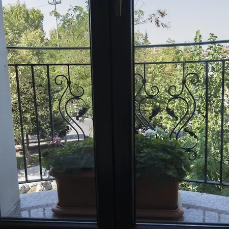 伊斯坦布尔老城托伦酒店